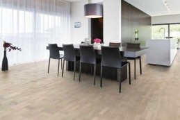 European Renaissance