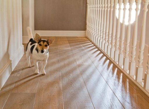 Tradition Classics Petrus Engineered Oak Flooring, Smoked, Oiled, 220x21x2200mm