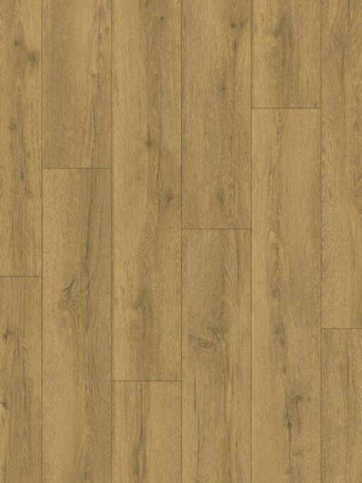 QuickStep CLASSIC Honey Brown Oak Laminate Flooring, 8mm